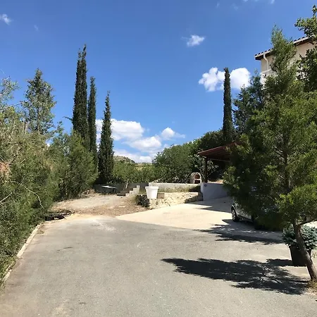 Mayzus Apartament